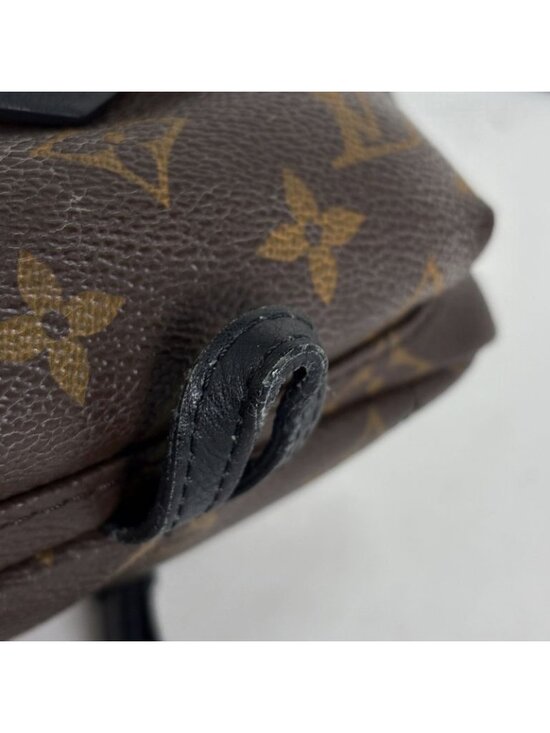 Louis Vuitton Palm Spring Backpack Mini Monogram Brown Black main image 5